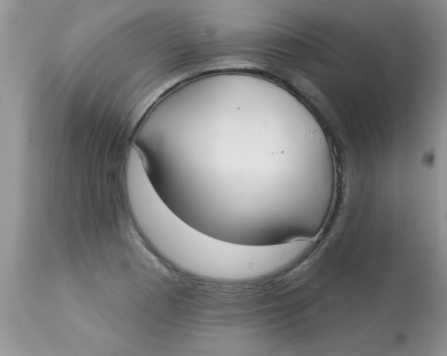 X0000113061177200909181953