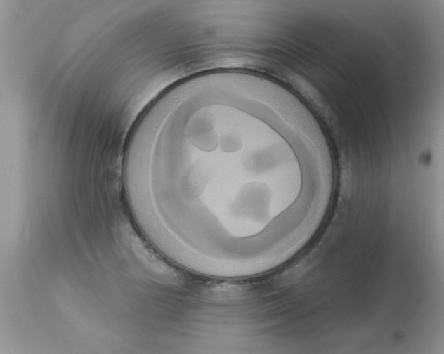 X0000113061178200909181953