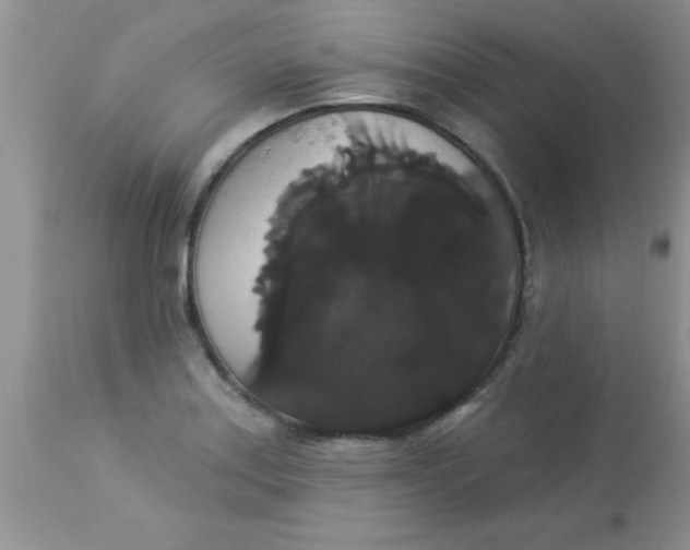X0000113061179200909181953