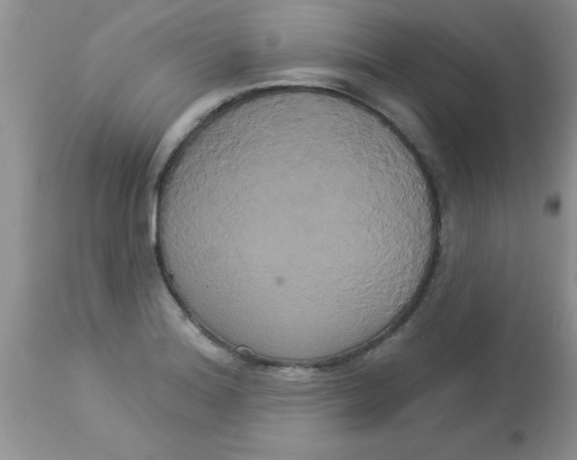 X0000113061180200909181953