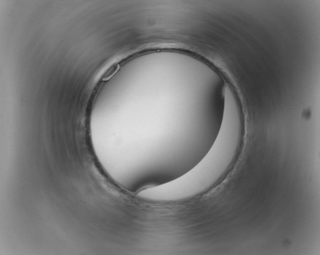 X0000113061181200909181953