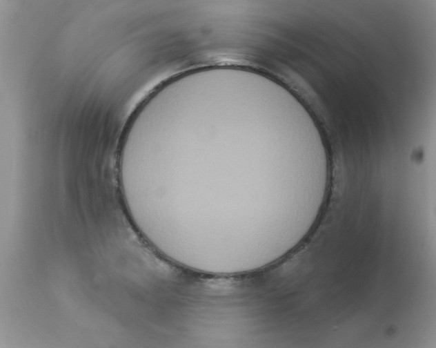 X0000113061182200909181953