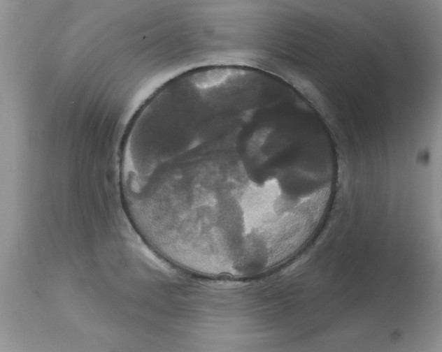 X0000113061184200909181953