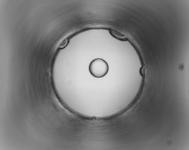 X0000113061189200909181953