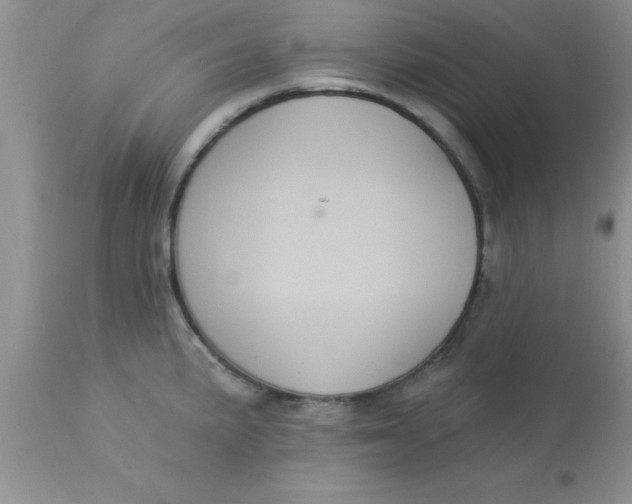 X0000113061191200909181953