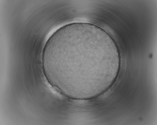 X0000113061192200909181953