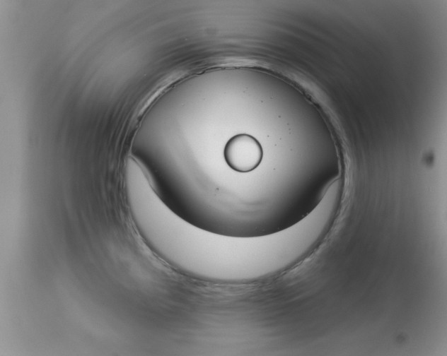 X0000113061193200909181953