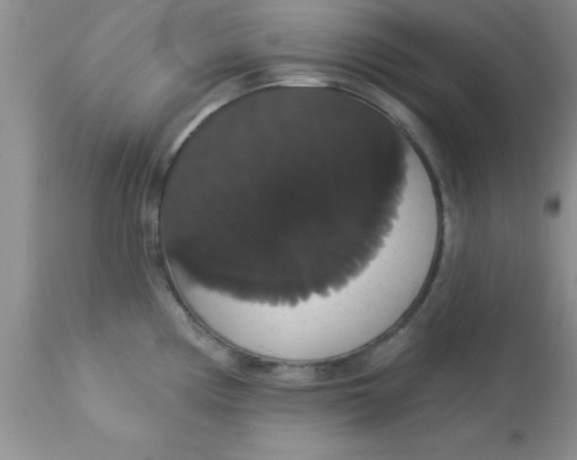 X0000113061194200909181953