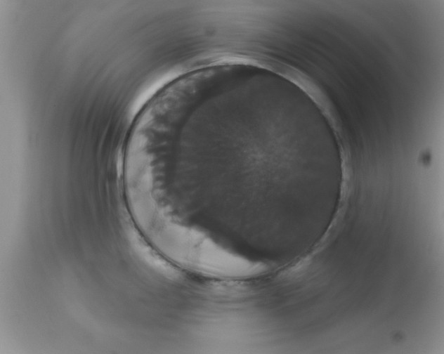 X0000113061198200909181953