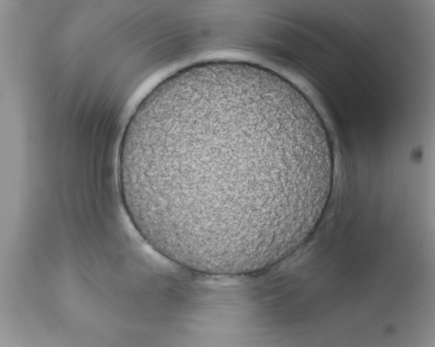 X0000113061199200909181953