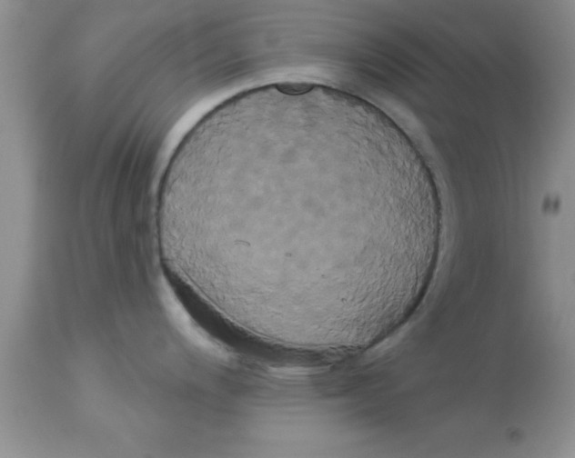 X0000113061200200909181953