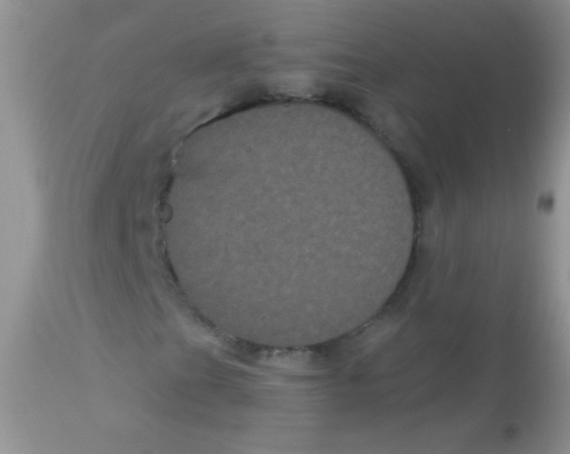 X0000113061201200909181952