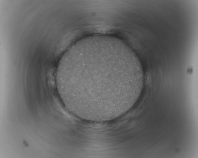 X0000113061202200909181952