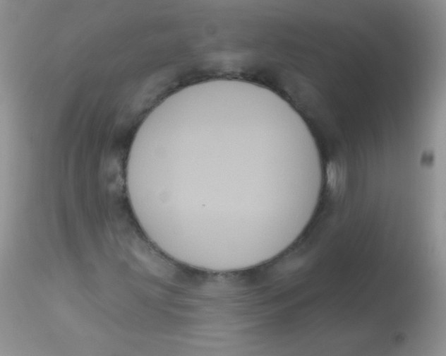 X0000113061203200909181952