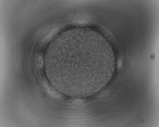 X0000113061204200909181952