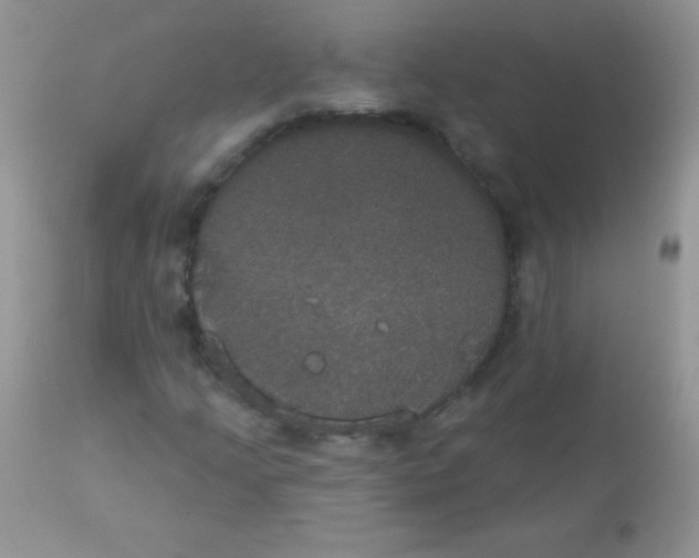 X0000113061205200909181952