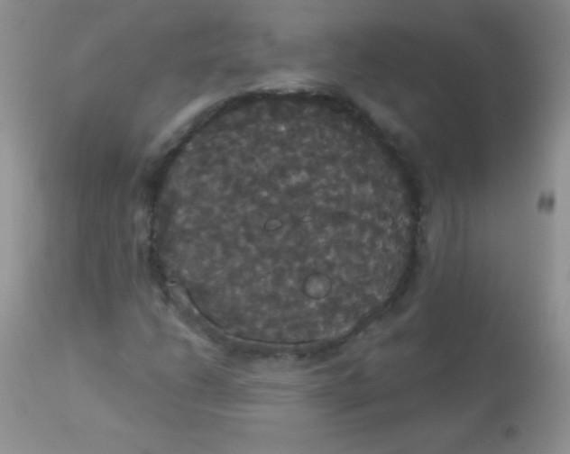 X0000113061206200909181952