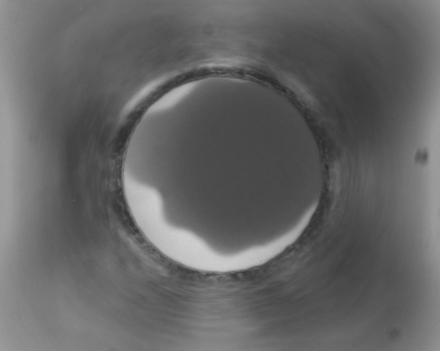 X0000113061208200909181952
