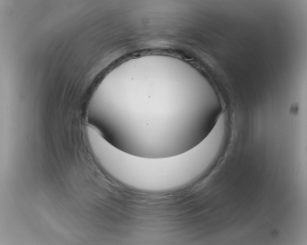 X0000113061209200909181952