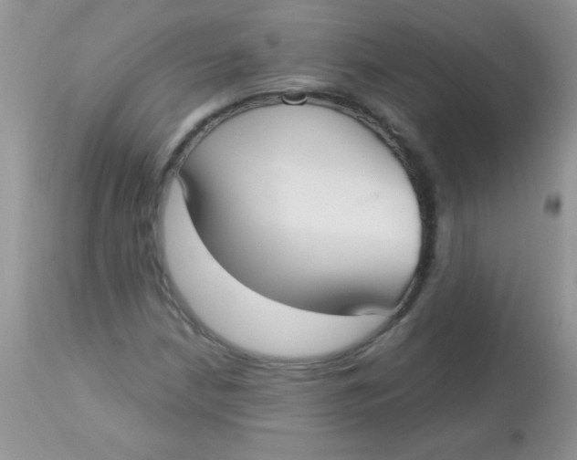 X0000113061210200909181952