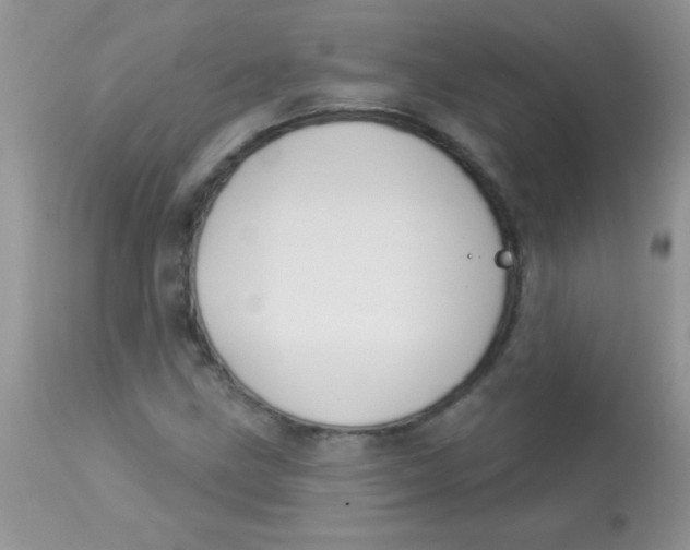X0000113061211200909181952
