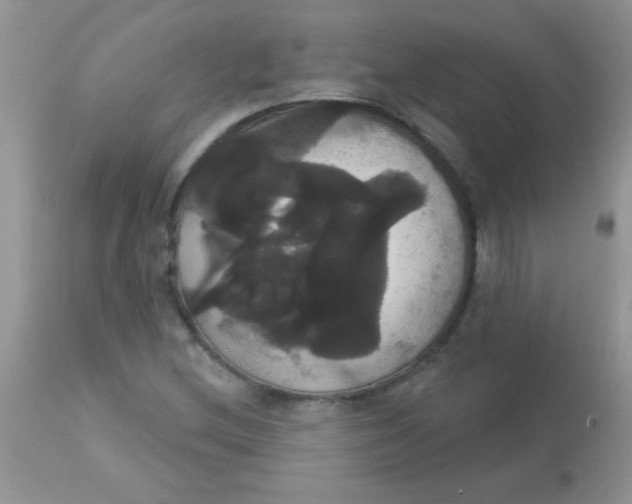 X0000113061212200909181952