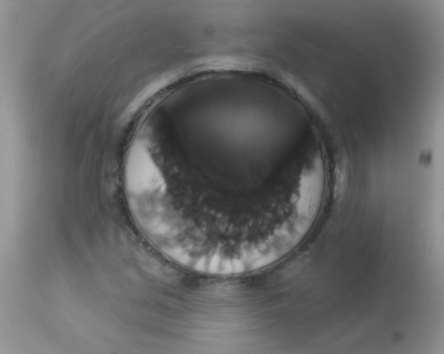 X0000113061213200909181952
