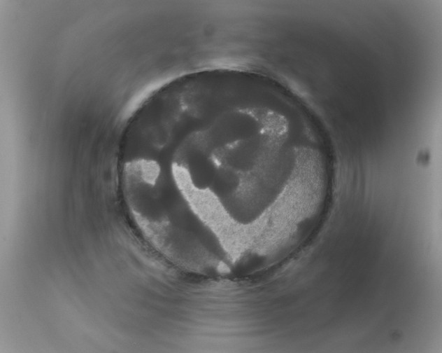 X0000113061214200909181952
