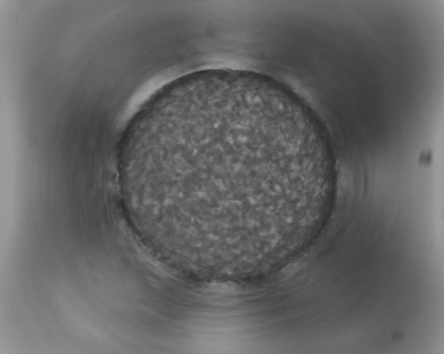 X0000113061215200909181952
