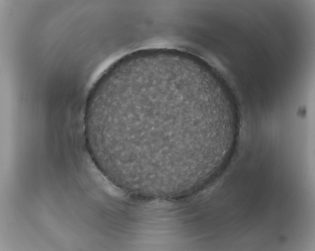 X0000113061216200909181952