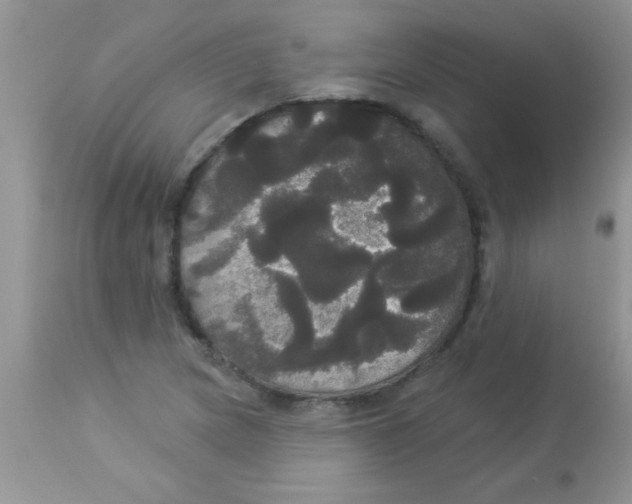 X0000113061217200909181952