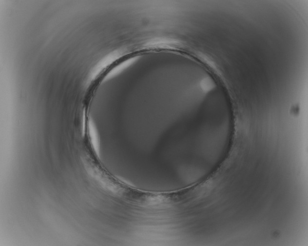 X0000113061219200909181952