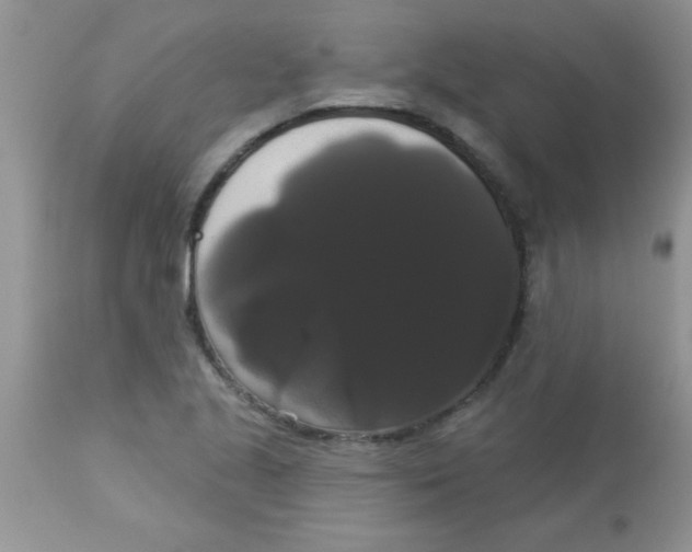 X0000113061221200909181952