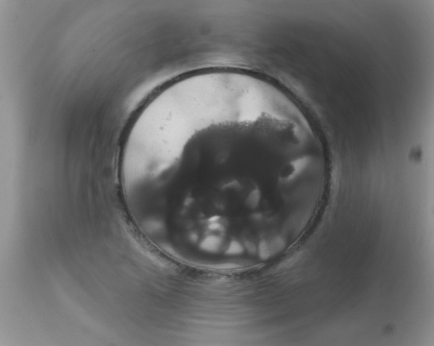 X0000113061222200909181952