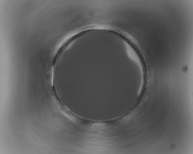 X0000113061223200909181952