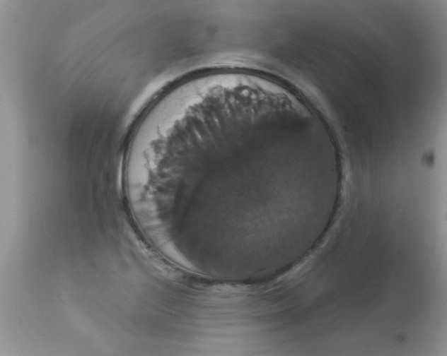 X0000113061224200909181953