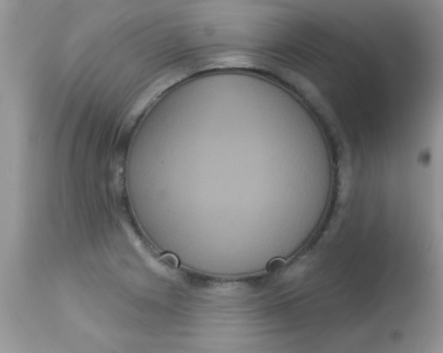 X0000113061225200909181953