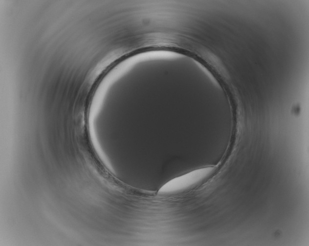 X0000113061226200909181953