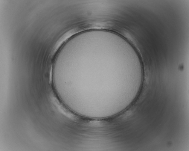 X0000113061227200909181953