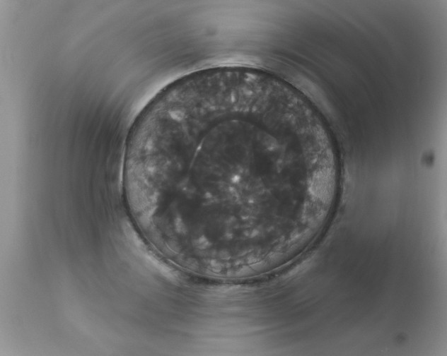 X0000113061228200909181953