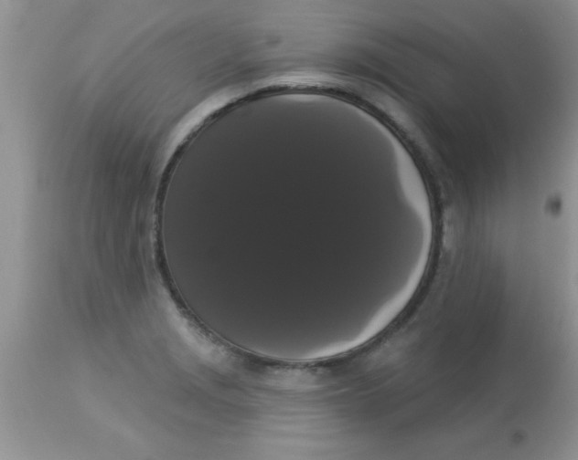 X0000113061229200909181953