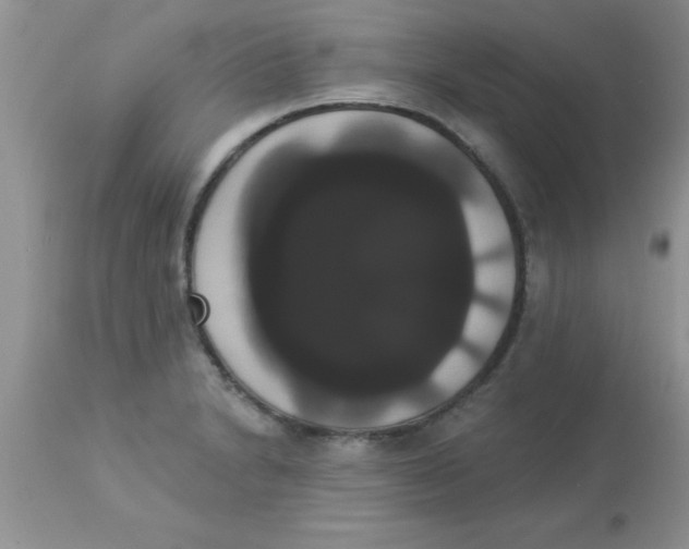 X0000113061230200909181953