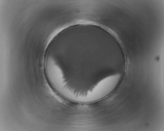 X0000113061231200909181953