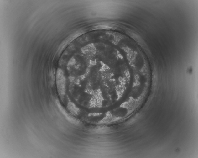 X0000113061233200909181953