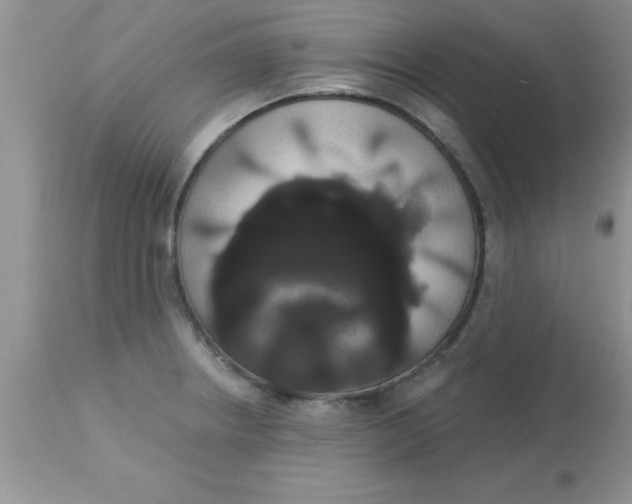 X0000113061234200909181953