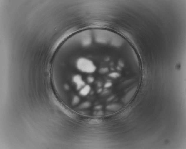 X0000113061235200909181953