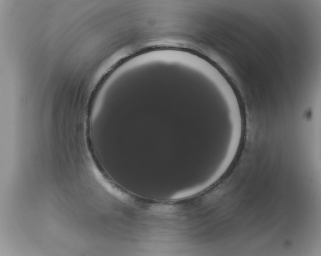X0000113061237200909181953