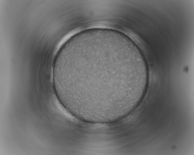 X0000113061238200909181953