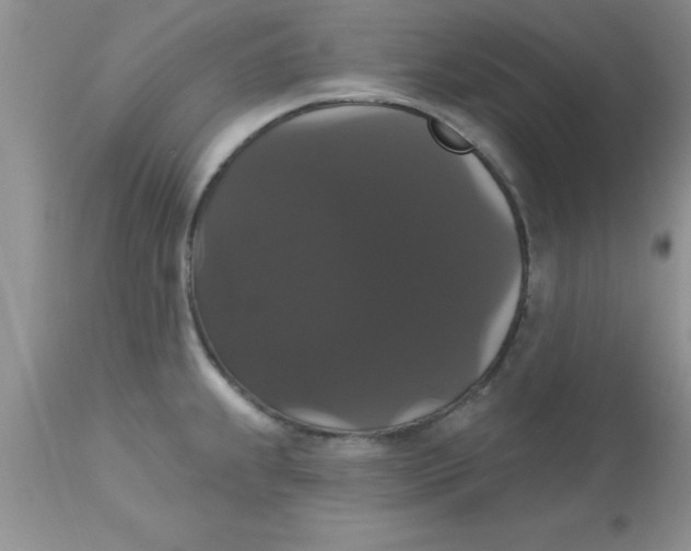 X0000113061239200909181953