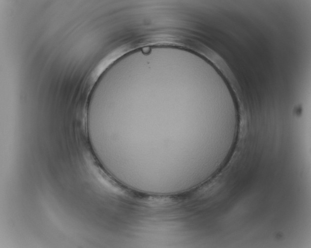 X0000113061242200909181953